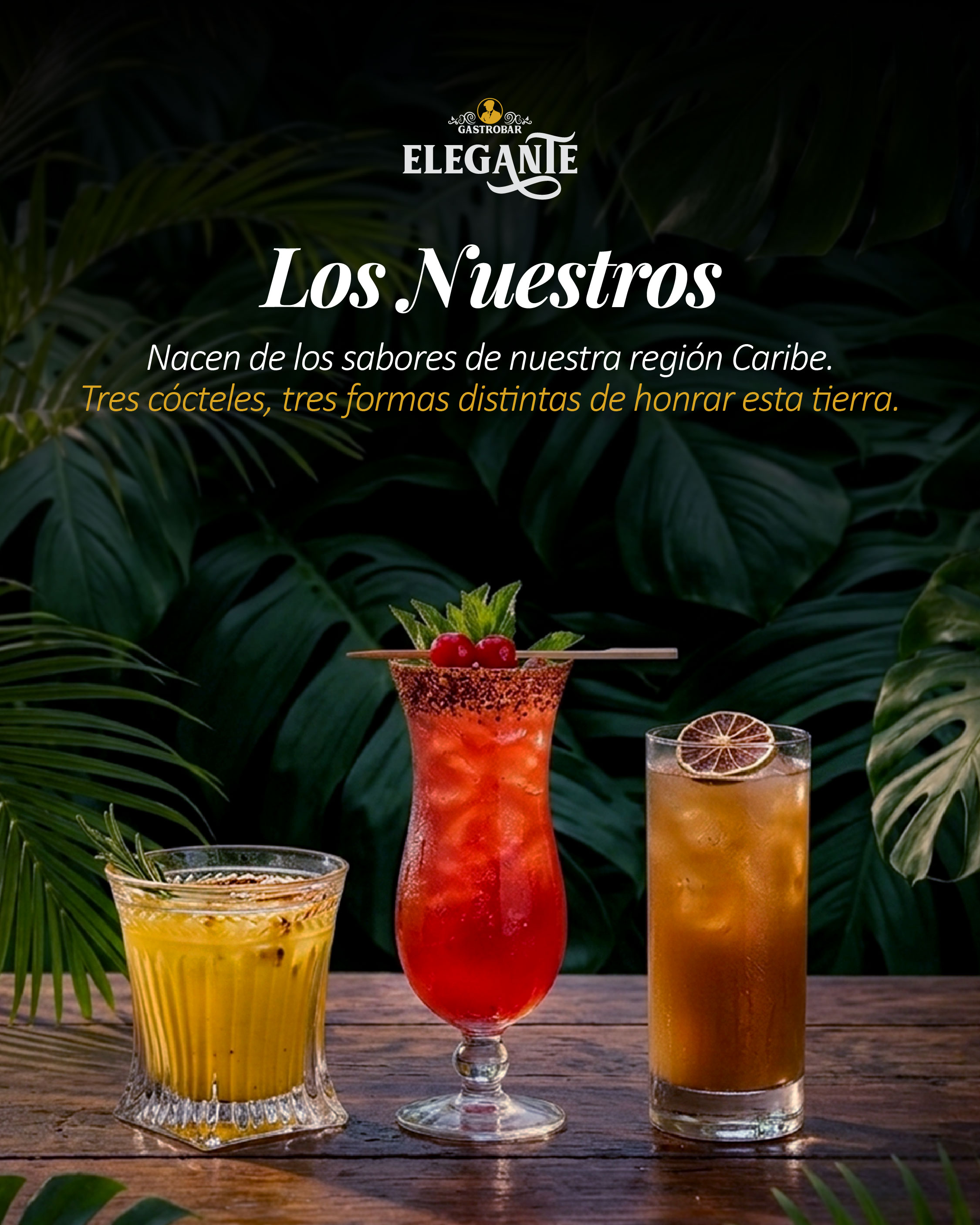 Contenido Social